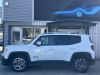RENEGADE 1.4 I MultiAir S&S 140 ch Limited 2WD Start - Stop 5P detail