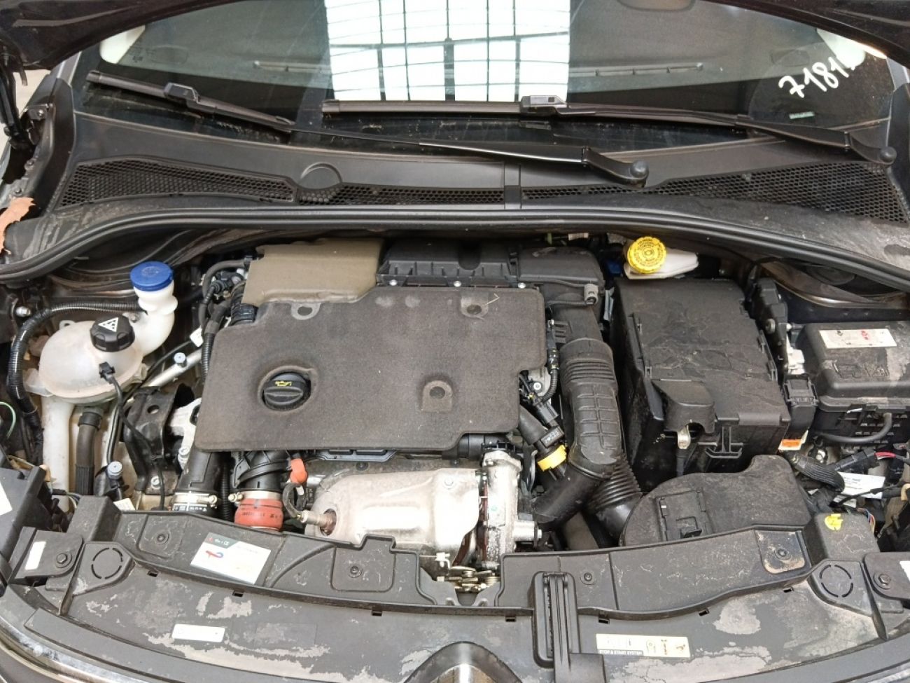 Mandataire Citroën C3 1.5 BLUEHDI 100CH S&S PLUS