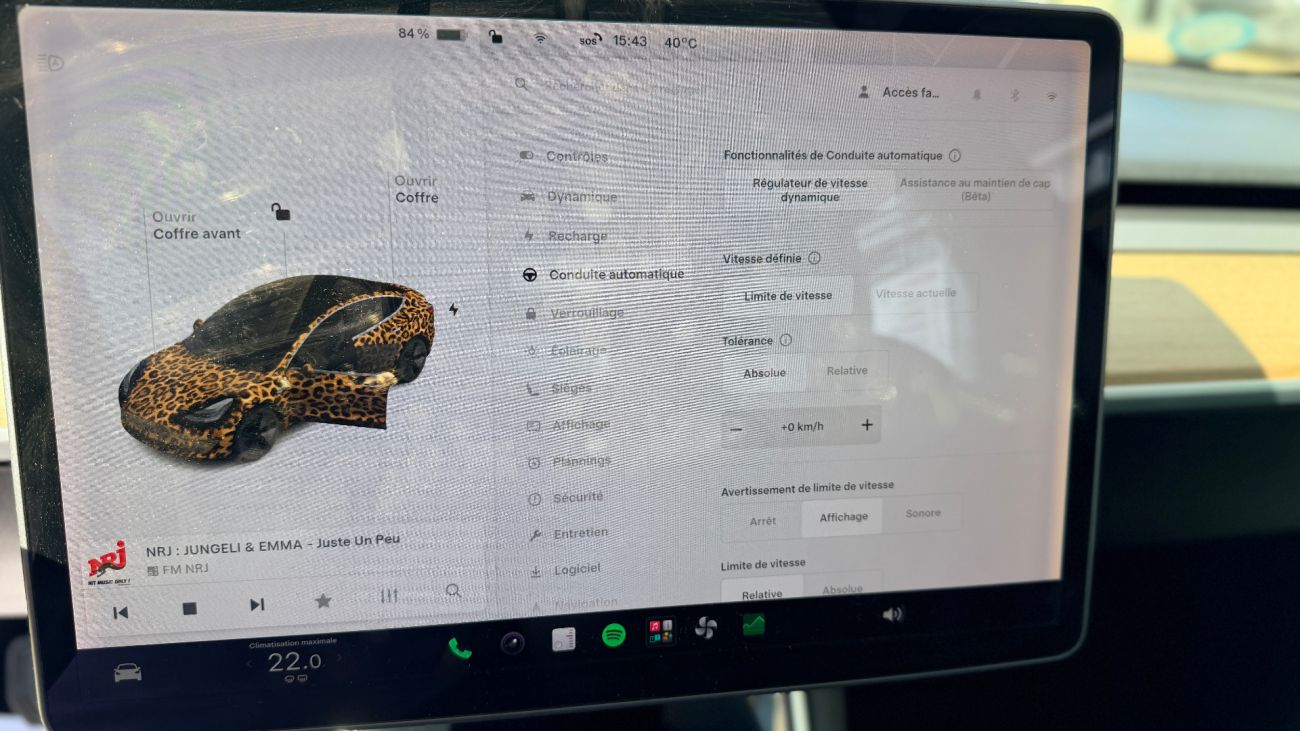 Mandataire TESLA MODEL 3 Performance Dual Motor AWD